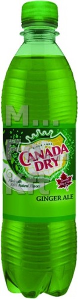Canada Dry 0,5l Pet